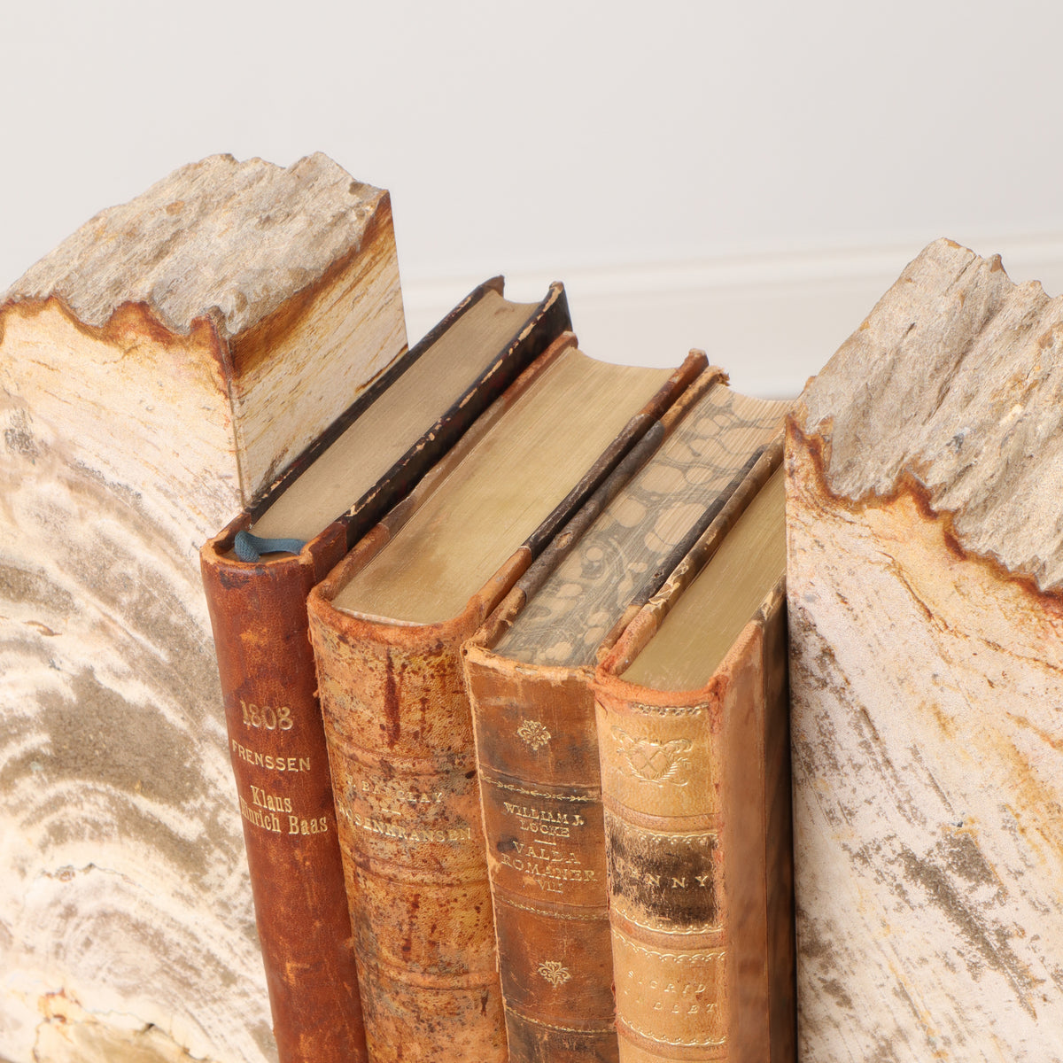 Petrified Wood Bookends English Traditions
