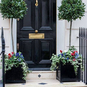 Six of Our Favorite Front Doors