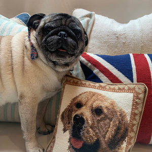 Six 'Gus-Approved' Pillows
