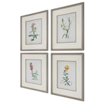 Heirloom Blooms Study Framed Prints, Set of 4