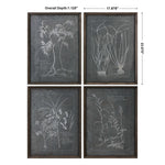 Root Study Framed Prints, Set of 4