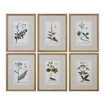 Green Floral Botanical Study Framed Prints, Set of 6