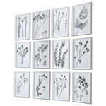 Contemporary Botanicals Framed Prints, Set of 12