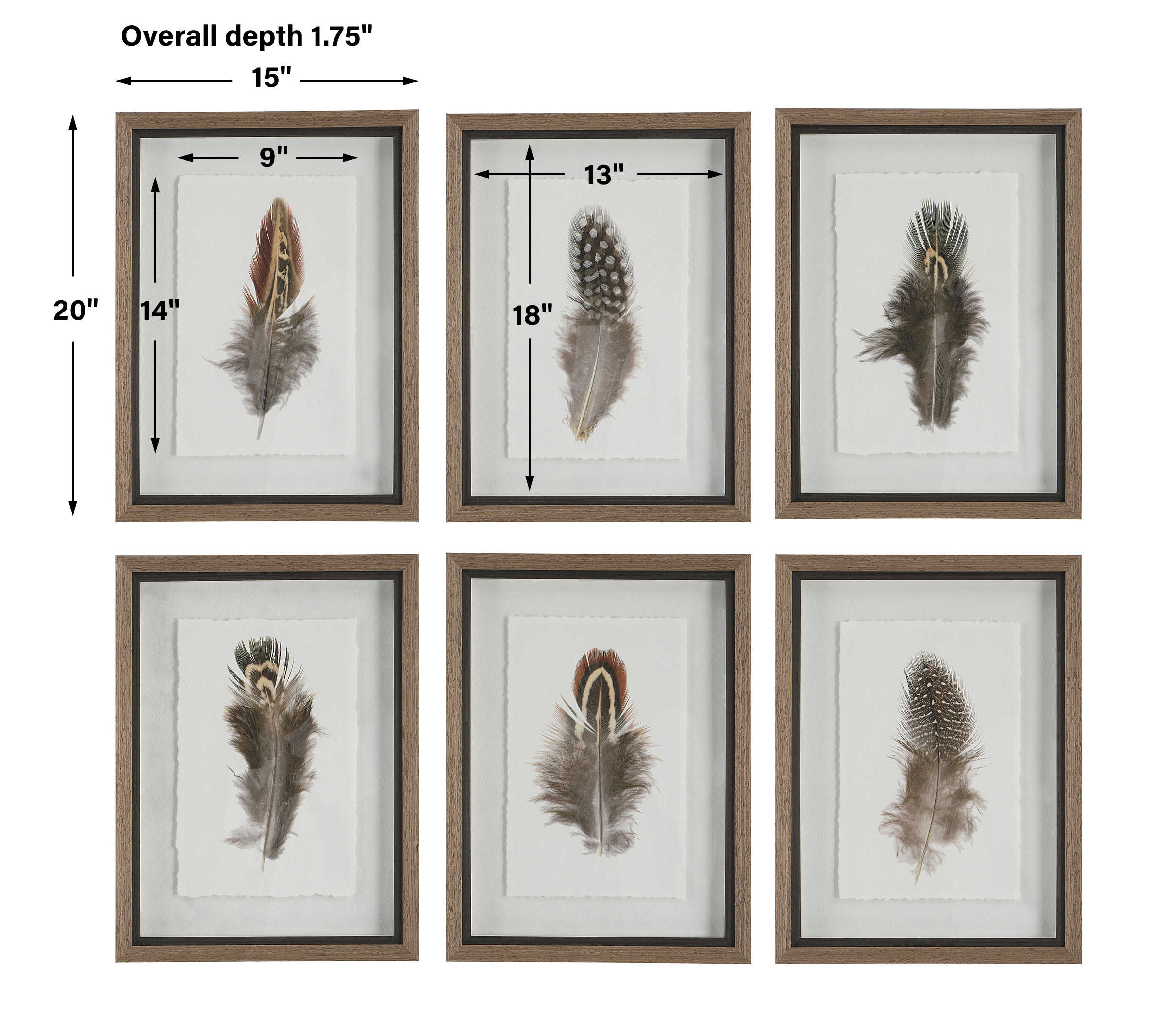 Birds of a Feather Framed Prints, Set of 6