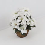 White Faux Poinsettia Arrangement