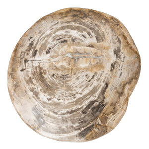 Riley Petrified Wood Accent Table