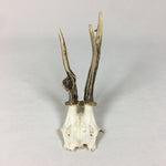 Small Antique Antlers