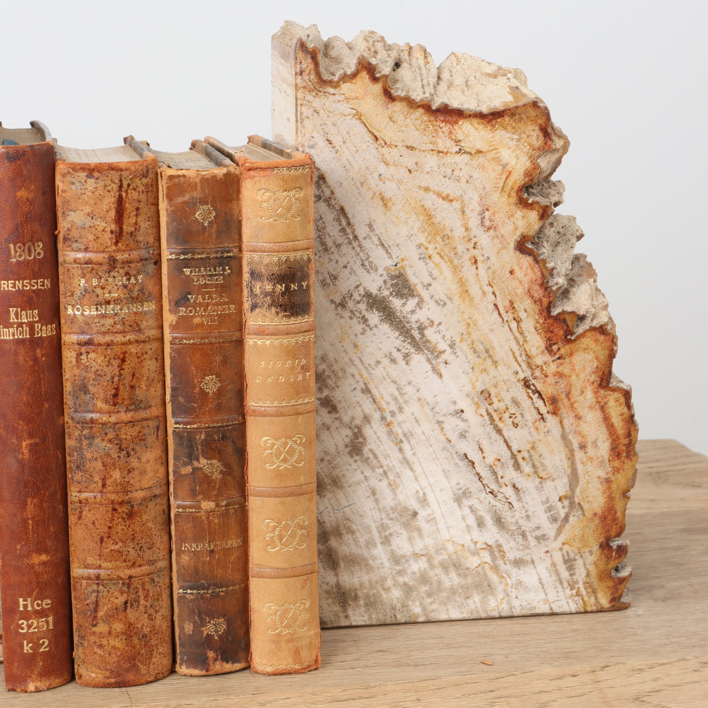 Petrified Wood Bookends English Traditions