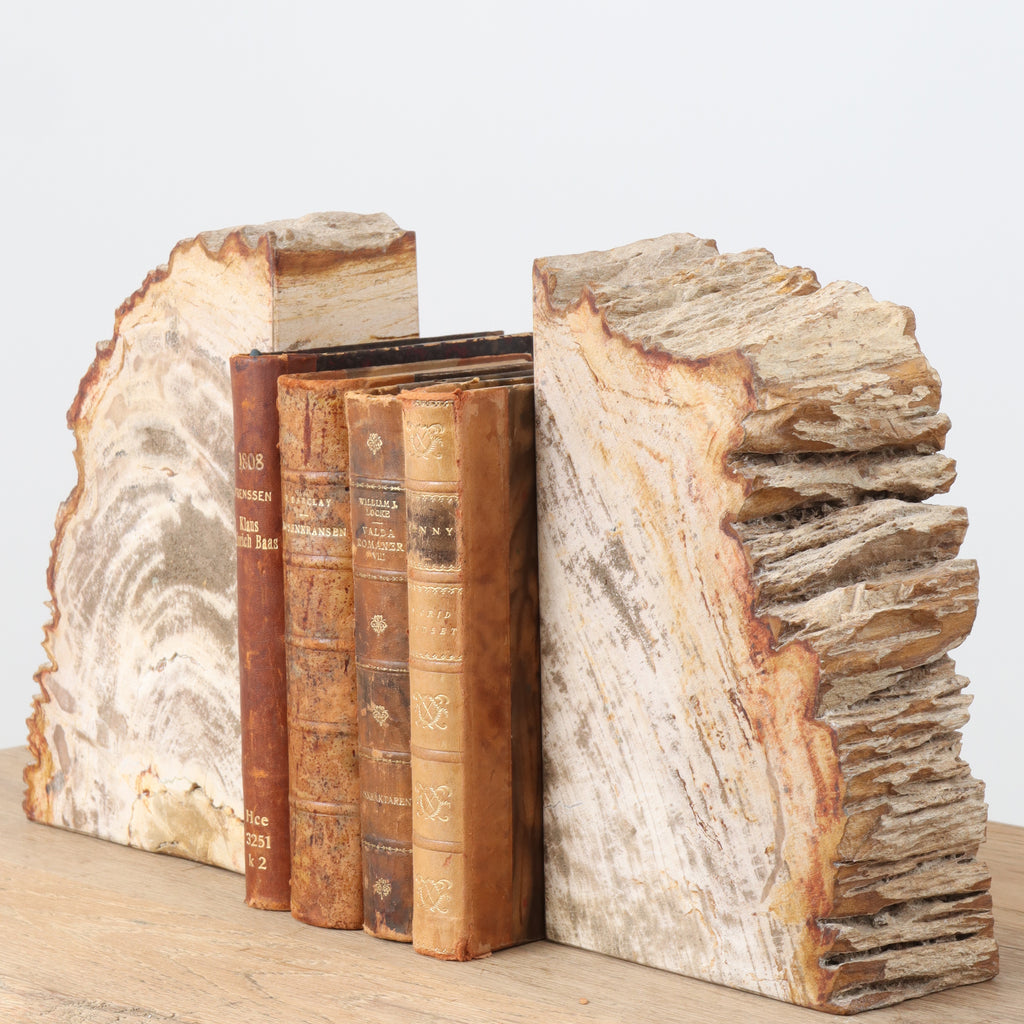 Petrified Wood Bookends English Traditions