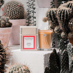 Desert Cactus Aromatic Candle